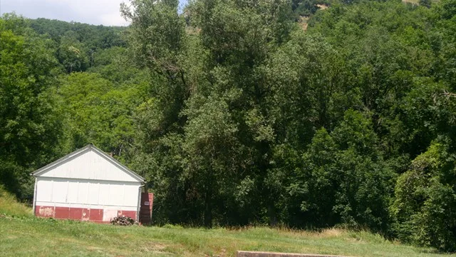 Bâtiment du domaine niché dans la forêt